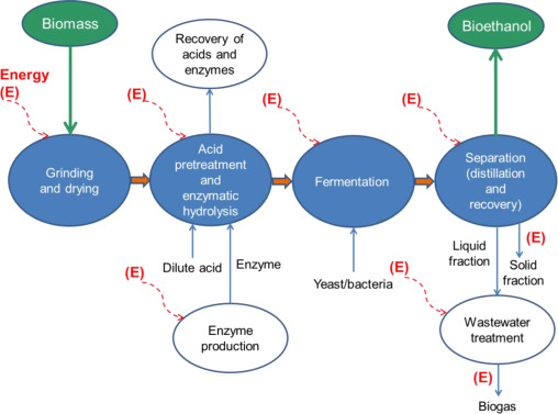 An assessment on the sustainability of lignocellulosic biomass for biorefining-image