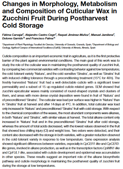 Cambiamenti nella morfologia, nel metabolismo e nella composizione della cera cuticolare nei frutti di zucchine durante la conservazione a freddo post-raccolta-image