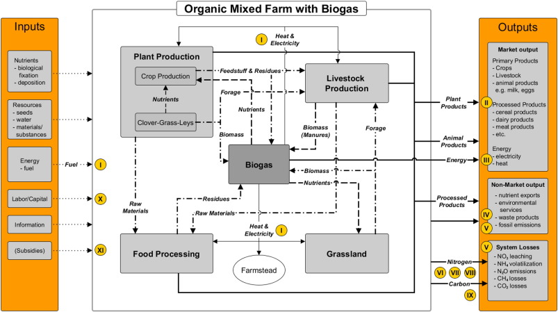 Farm biogas production in organic agriculture: System implications-image