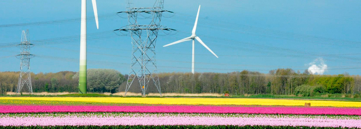 Energy & Agriculture: model bedrifter-image