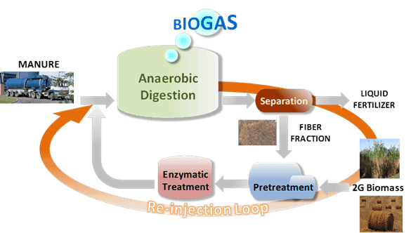 Wirtschaftlich effiziente Biogaserzeugung aus Güllefasern und Stroh-image