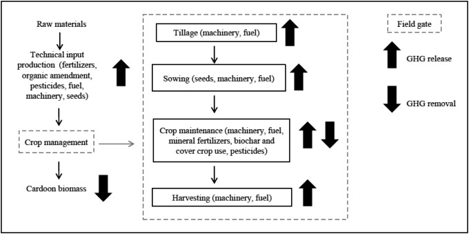 Carbon footprints and social carbon cost assessments in a perennial energy crop system: A comparison of fertilizer management practices in a Mediterranean area-image