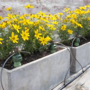 BLUMAT DRIP SYSTEM-image