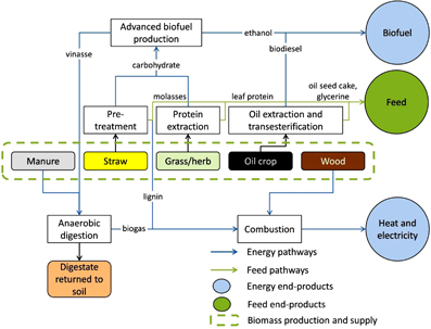 Possibilities for near-term bioenergy production and GHG-mitigation through sustainable intensification of agriculture and forestry in Denmark-image