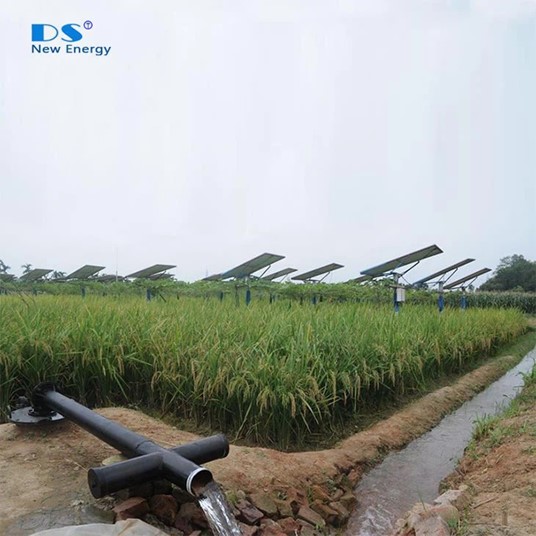 DS Energy, Solar Pumping System-image