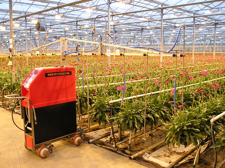 Greenhouse spray robot with vertical booms (s55)-image