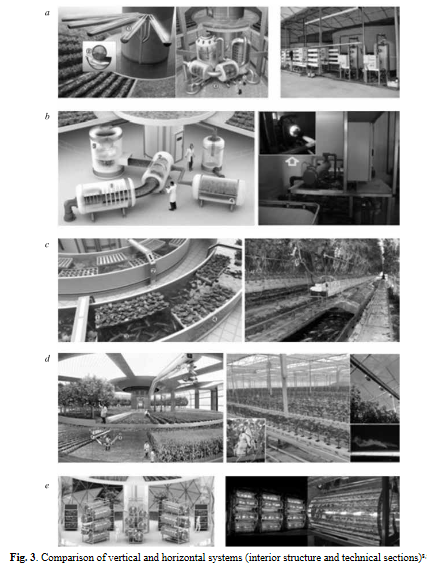 Przekształcenie istniejących szklarni w zaawansowane technologicznie systemy uprawy wertykalnej dla regionów metropolitalnych-image