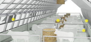 TARK LAUT - en innovativ termoreguleret staldkonceptløsning, baseret på vedvarende energi.-image