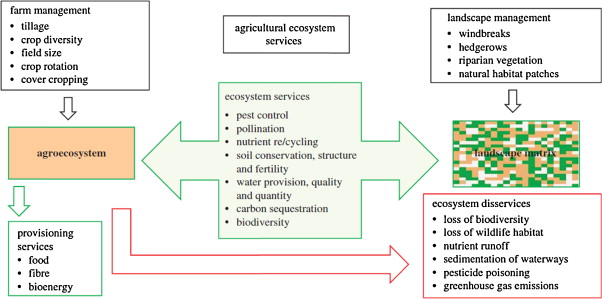 Conservation agriculture and ecosystem services: An overview-image