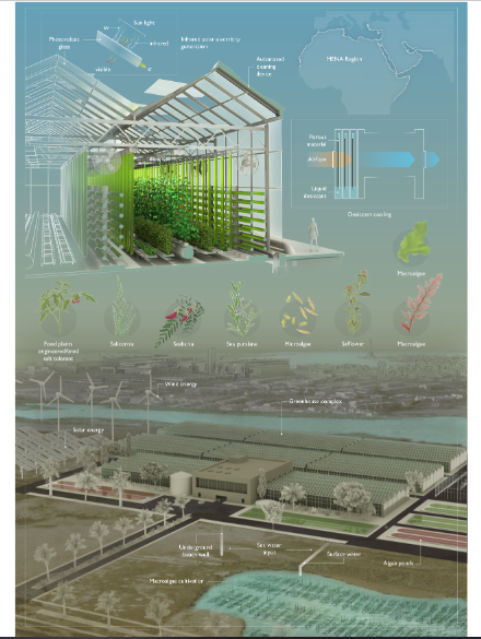 Emerging Technologies to Enable Sustainable Controlled Environment Agriculture in the Extreme Environments of Middle East-North Africa Coastal Regions-image