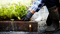 UNICREDIT - Finansiering af landbrugsvirksomhed-image