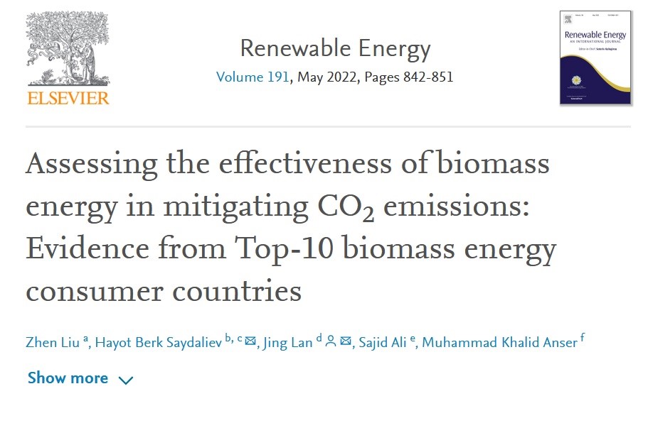 Assessing the effectiveness of biomass energy in mitigating CO2 emissions: Evidence from Top-10 biomass energy consumer countries-image