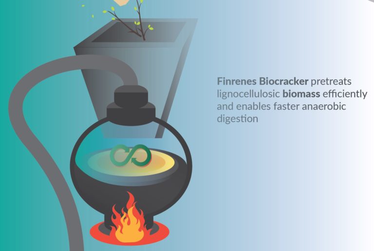 Produzione di biogas da biomasse lignocellulosiche non alimentari-image