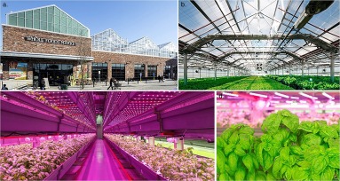 Ontwikkeling van een op simulatie gebaseerde besluitvormingsondersteunende workflow voor de implementatie van Building-Integrated Agriculture (BIA) in stedelijke contexten-image