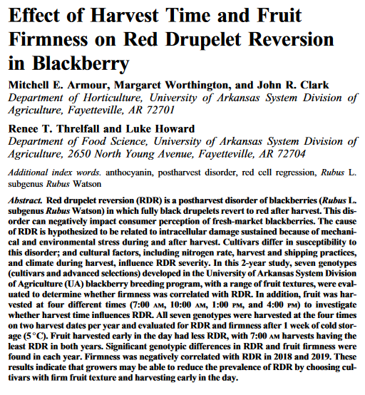 Effetto del tempo di raccolta e della compattezza del frutto sulla reversione della drupa rossa nella mora-image