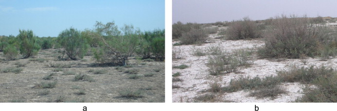 Utilizzando il modello CENTURY per valutare l'impatto delle pratiche di bonifica e gestione dei terreni nell'agricoltura oasi sulla dinamica del carbonio organico del suolo nella regione arida della Cina nord-occidentale-image