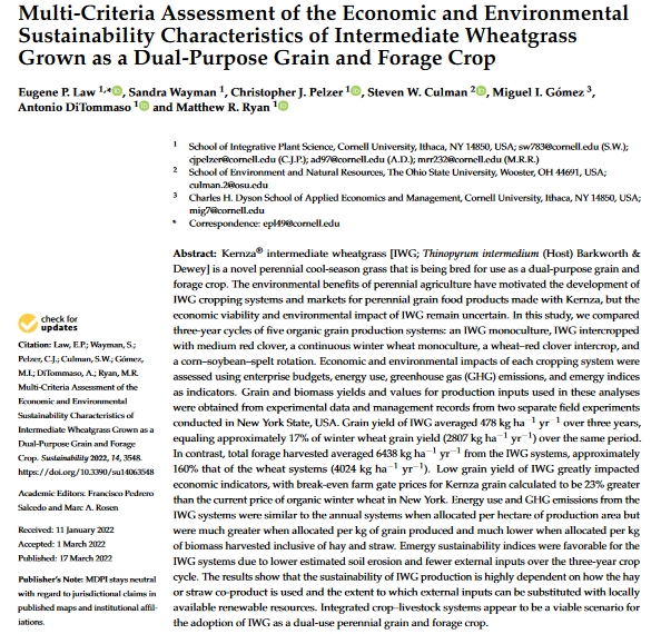 Multi-Criteria Assessment of the Economic and Environmental Sustainability Characteristics of Intermediate Wheatgrass Grown as a Dual-Purpose Grain and Forage Crop-image
