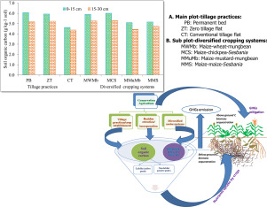 Long-term impact of conservation agriculture and diversified maize rotations on carbon pools and stocks, mineral nitrogen fractions and nitrous oxide fluxes in inceptisol of India-image