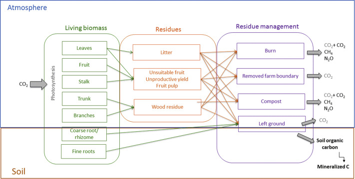 Perennial-GHG: A new generic allometric model to estimate biomass accumulation and greenhouse gas emissions in perennial food and bioenergy crops-image