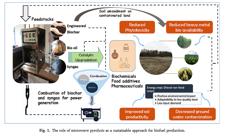 Microwave assisted carbonization and activation of biochar for energy-environment nexus: A review-image