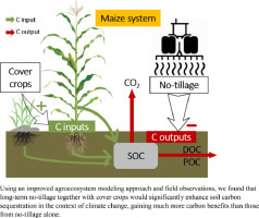 Assessing synergistic effects of no-tillage and cover crops on soil carbon dynamics in a long-term maize cropping system under climate change-image