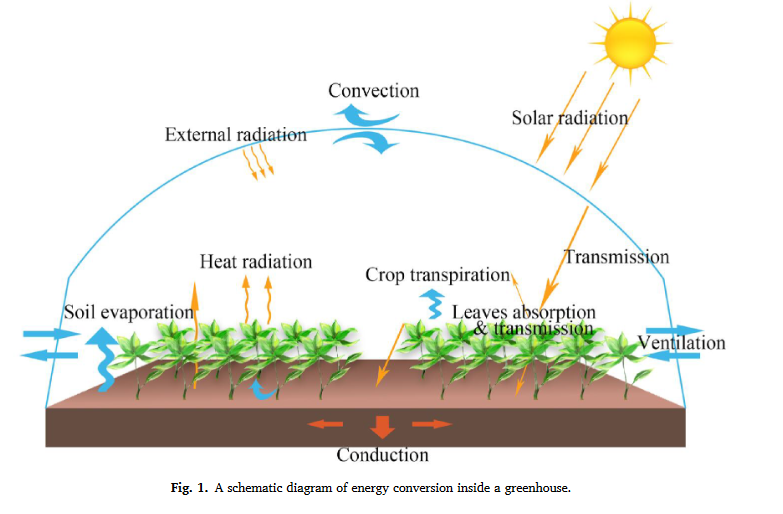 Een onderzoek naar de ruimtelijke verdeling van de temperatuur in een kas onder zonbelasting met inachtneming van de gewastranspiratie en optische effecten-image