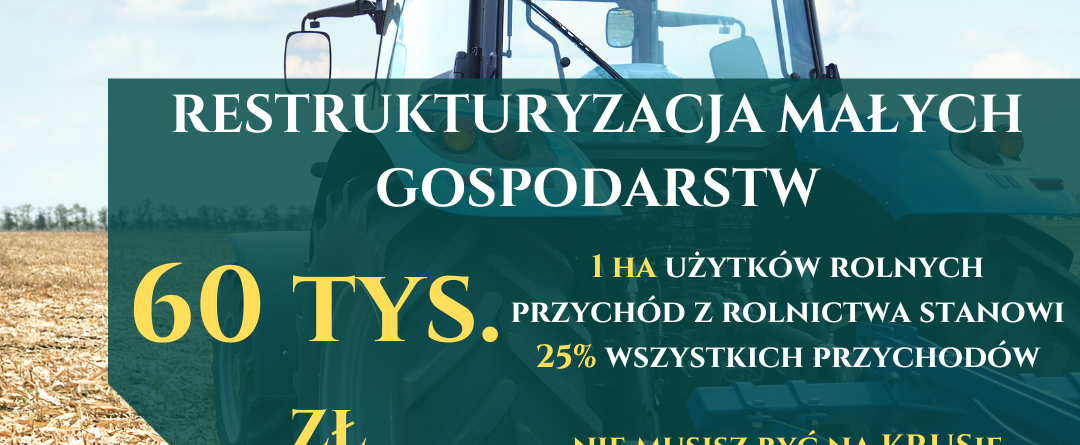 Untermaßnahme: 6.3 Umstrukturierung von Kleinbetrieben-image