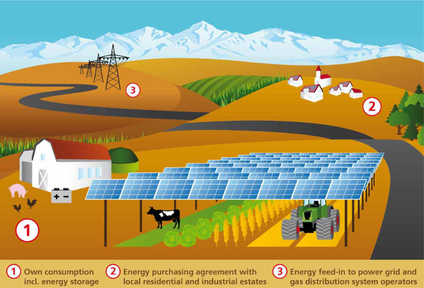 AGRIVOLTAICA: OPPORTUNITÀ PER L'AGRICOLTURA E LA TRANSIZIONE ENERGETICA-image