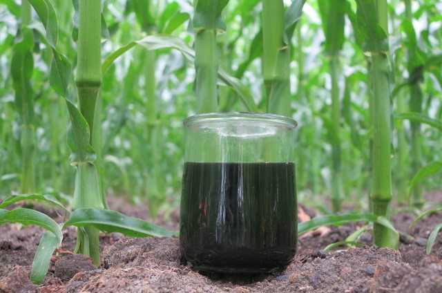 Mineralkoncentrat fra forarbejdet gylle som gødning-image