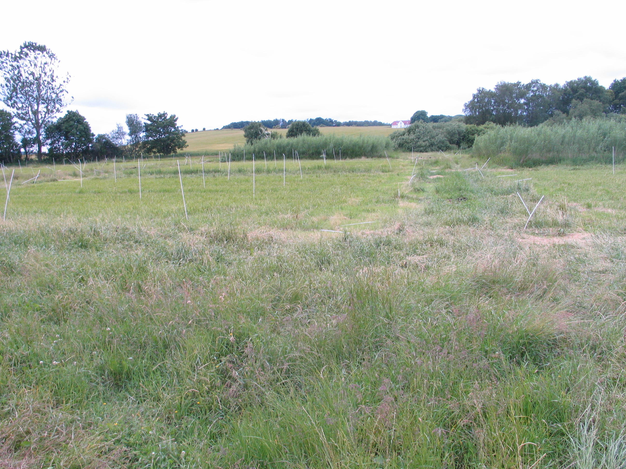 Ensiling of tall fescue for biogas production: Effect of storage time, additives and mechanical pretreatment-image