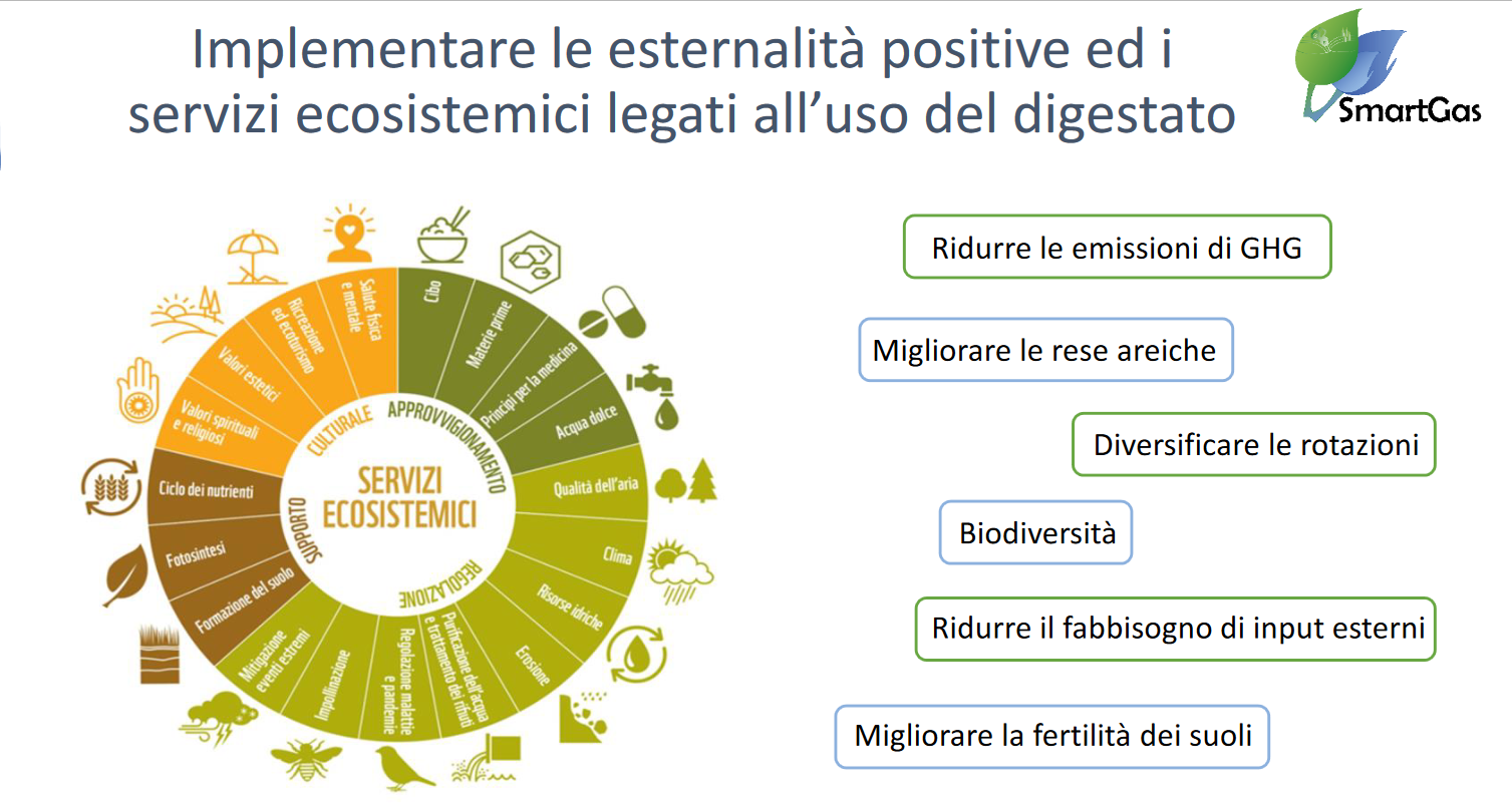 Smartgas: agricultura con biogás para reducir la huella de carbono y aumentar la sostenibilidad y resistencia al cambio climático de los sistemas de cultivo de calidad.-image