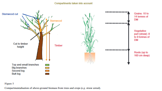 Biomass assessment: A question of method and expertise-image