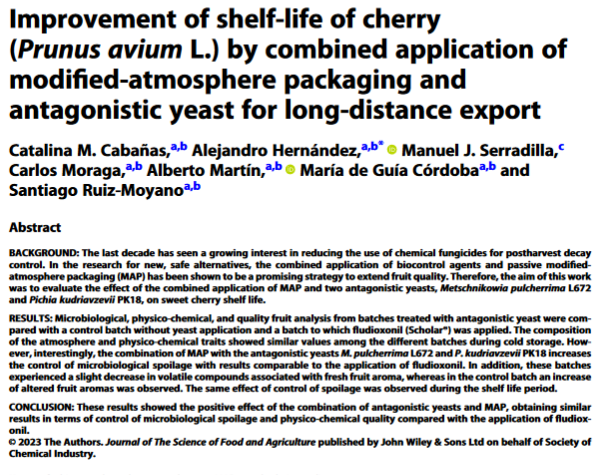 Miglioramento della durata di conservazione della ciliegia (Prunus avium L.) mediante l'applicazione combinata di imballaggi in atmosfera modificata e lievito antagonista per l'esportazione a lunga distanza-image
