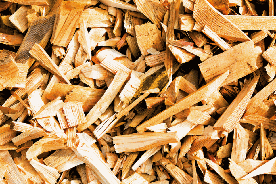 Biomass Wood Chip and Bark-image