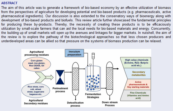 Active pharmaceutical ingredient (API) chemicals: a critical review of current biotechnological approaches-image