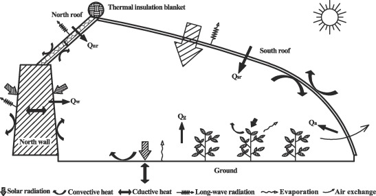Innovative passive heat-storage walls improve thermal performance and energy efficiency in Chinese solar greenhouses for non-arable lands-image
