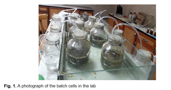 Valutazione della produzione di biogas da codigestione anaerobica di fanghi di depurazione con microalghe e scarti agricoli-image