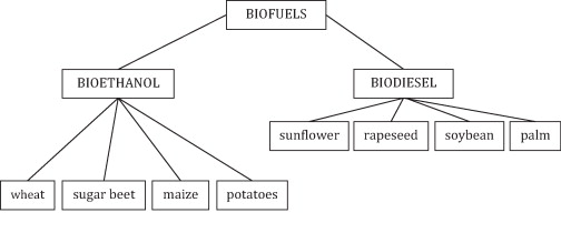 State of the art of biofuels from pure plant oil-image