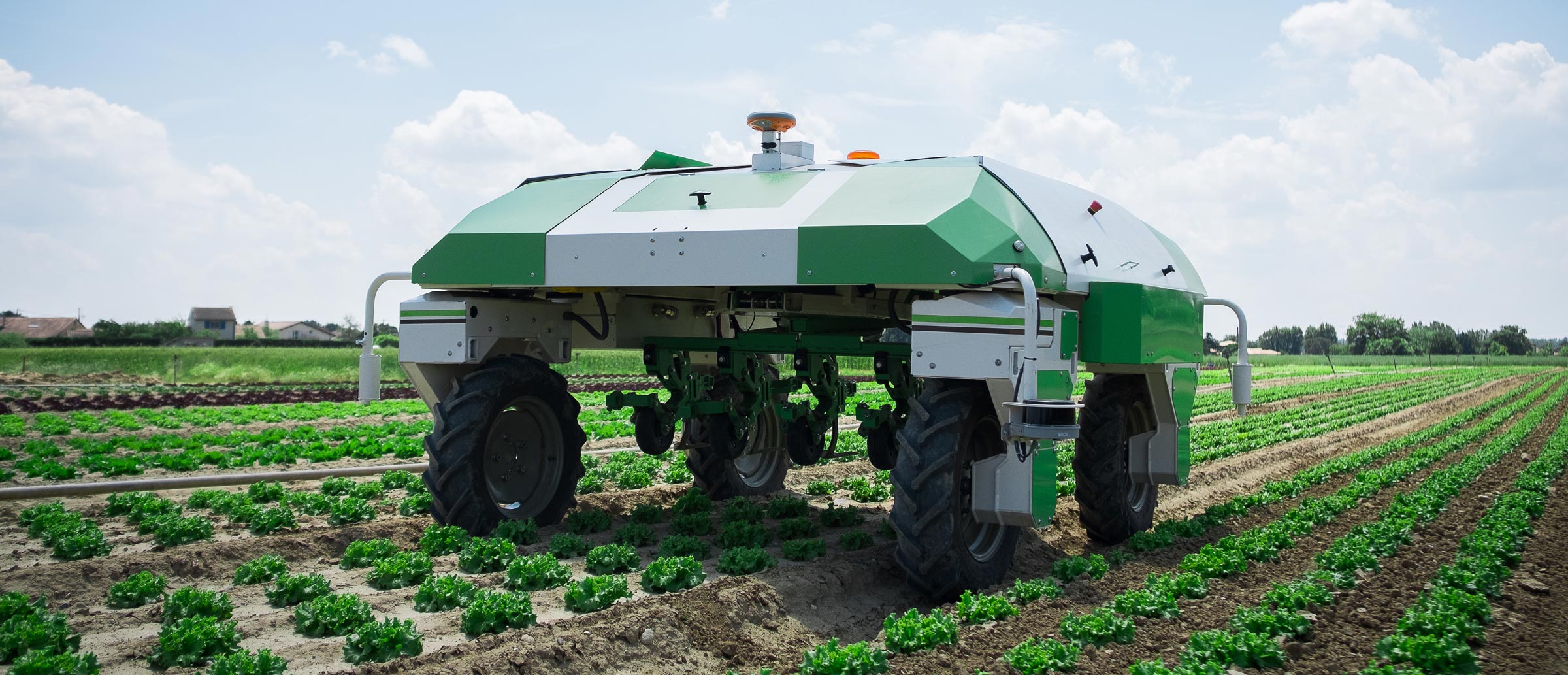 Autonomer Roboter und präzise Unkrautbekämpfung-image