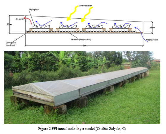 Tecnologie di essiccazione solare della frutta per piccoli agricoltori in Uganda, una rassegna di vincoli e soluzioni di progettazione-image