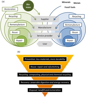 Il significato della biomassa in un'economia circolare-image